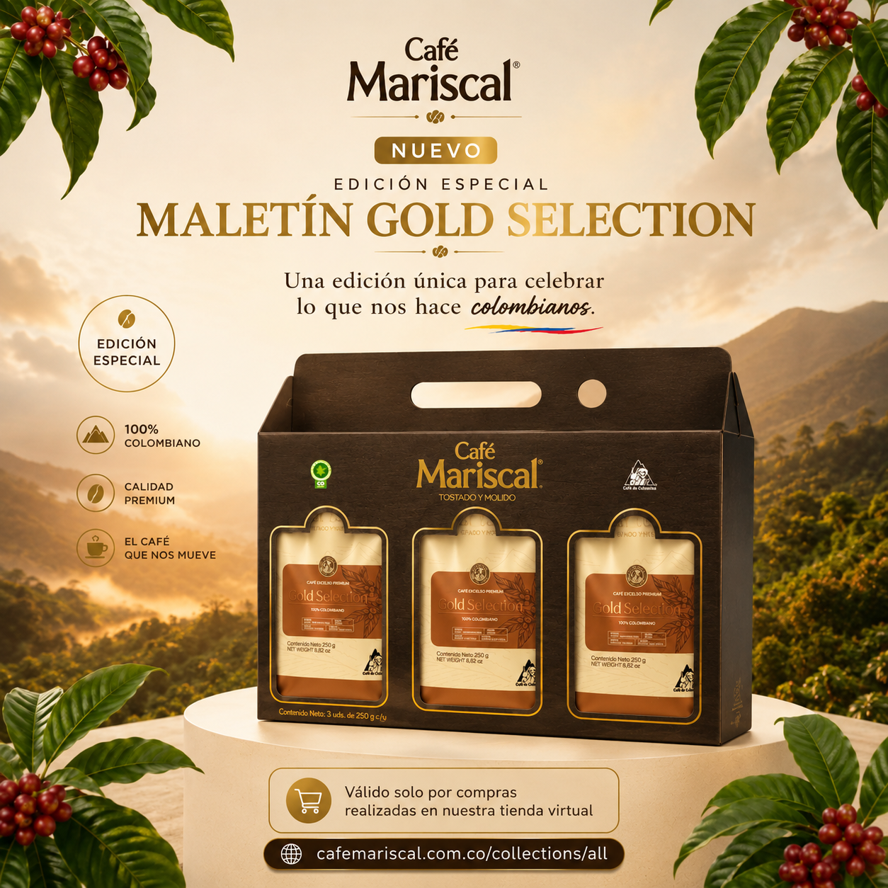 Maletín Gold Selection x 250 Gr