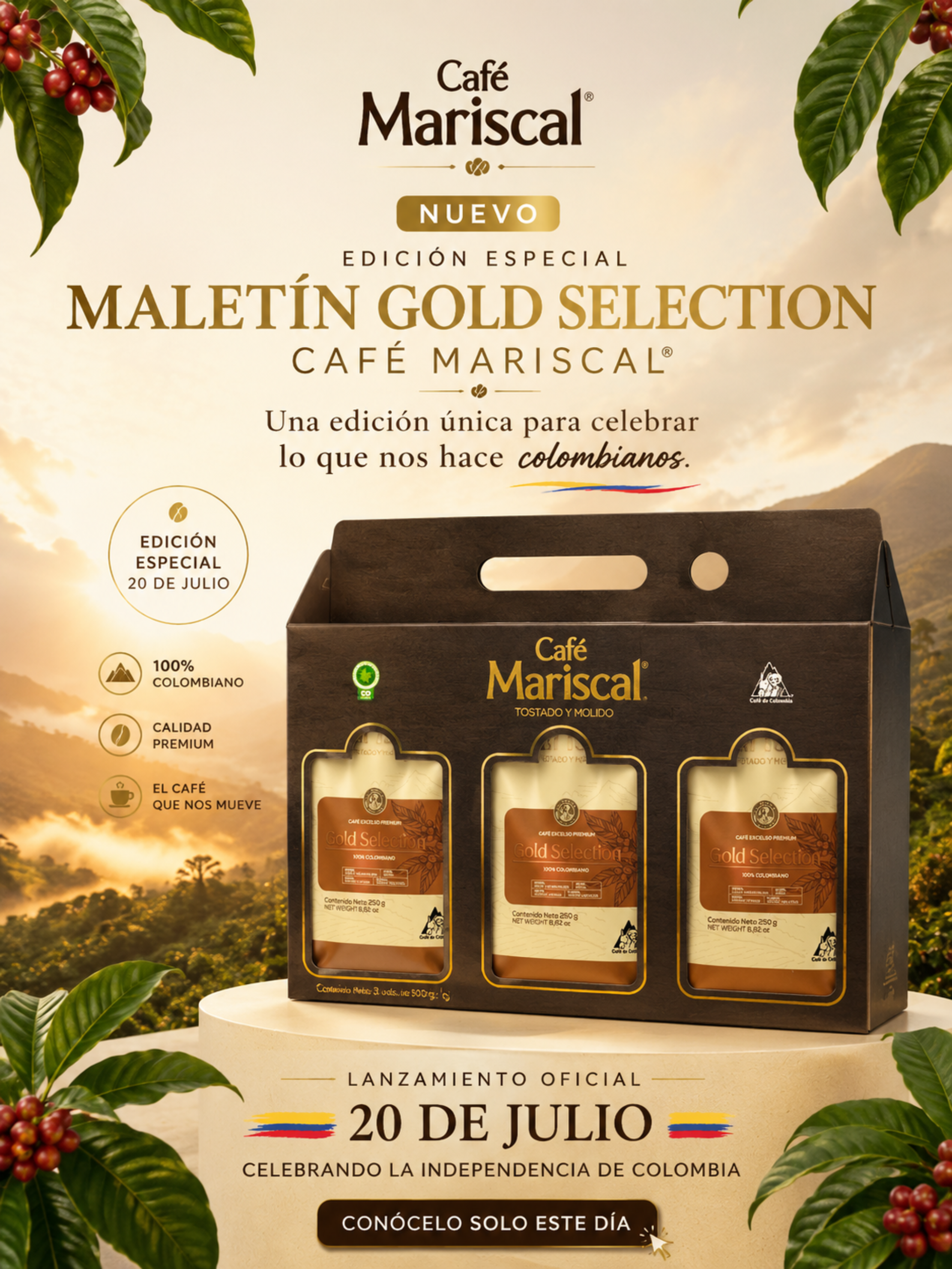 Maletín Gold Selection x 250 Gr